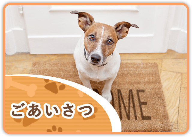 ごあいさつ