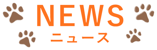 NEWS　ニュース