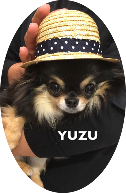 YUZU