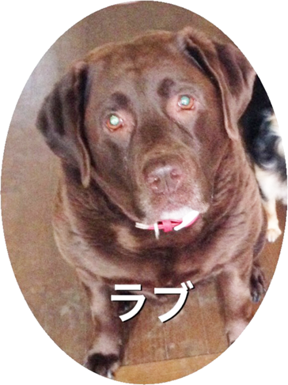 ラブ