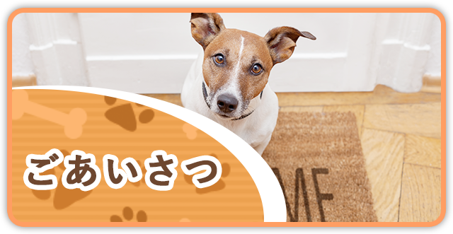 ごあいさつ
